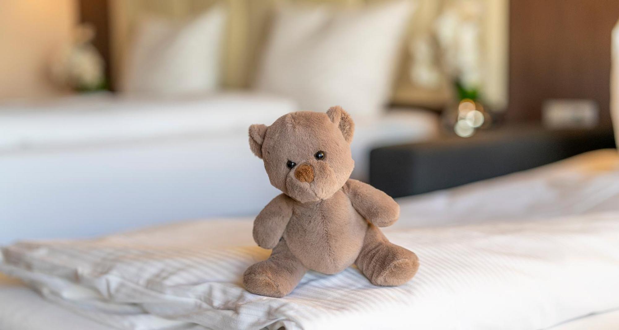 Plaza Hotel Foehr Am Bodensee FDH Zewnętrze zdjęcie