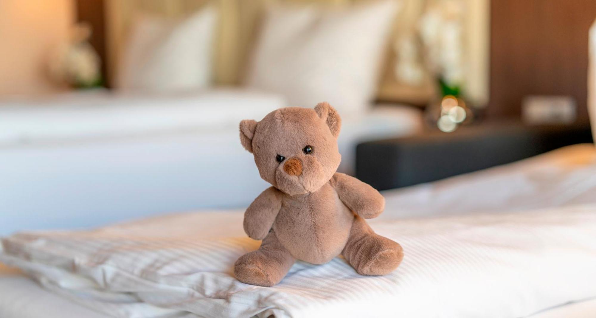 Plaza Hotel Foehr Am Bodensee FDH Pokój zdjęcie